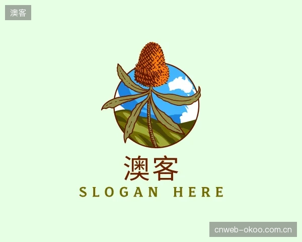 关于澳客机构
